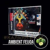 Chillout Ambient Feijoa