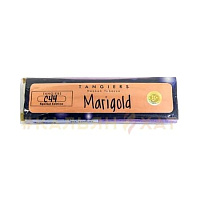 Tangiers Marigold