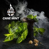 BlackBurn Cane Mint
